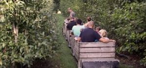Nieuws afbeelding